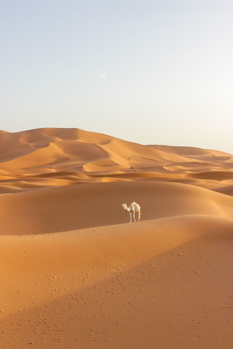 Marruecos 