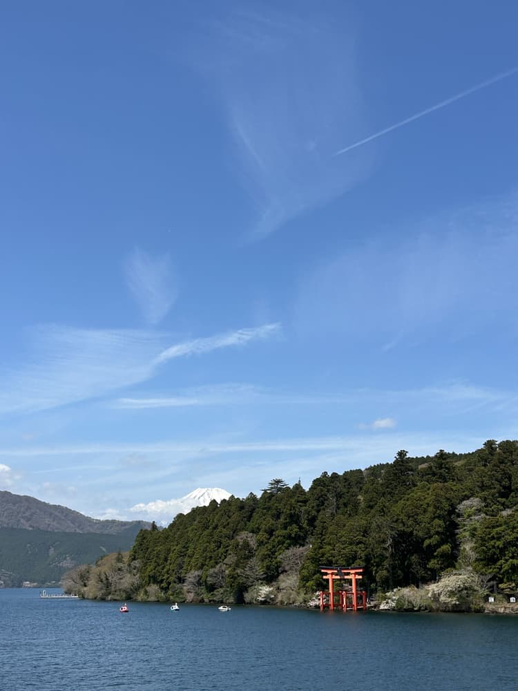 Japón 