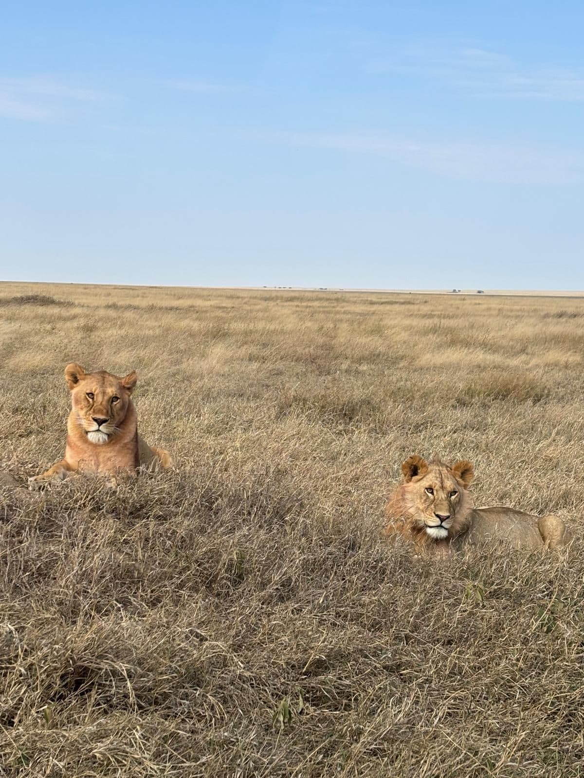 Tanzania y Zanzíbar