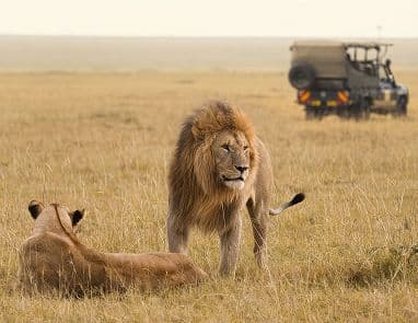 Sudáfrica: aventura & mar